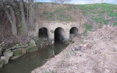 IN SITU presenta el seu projecte ‘Paisatges de Ponent’